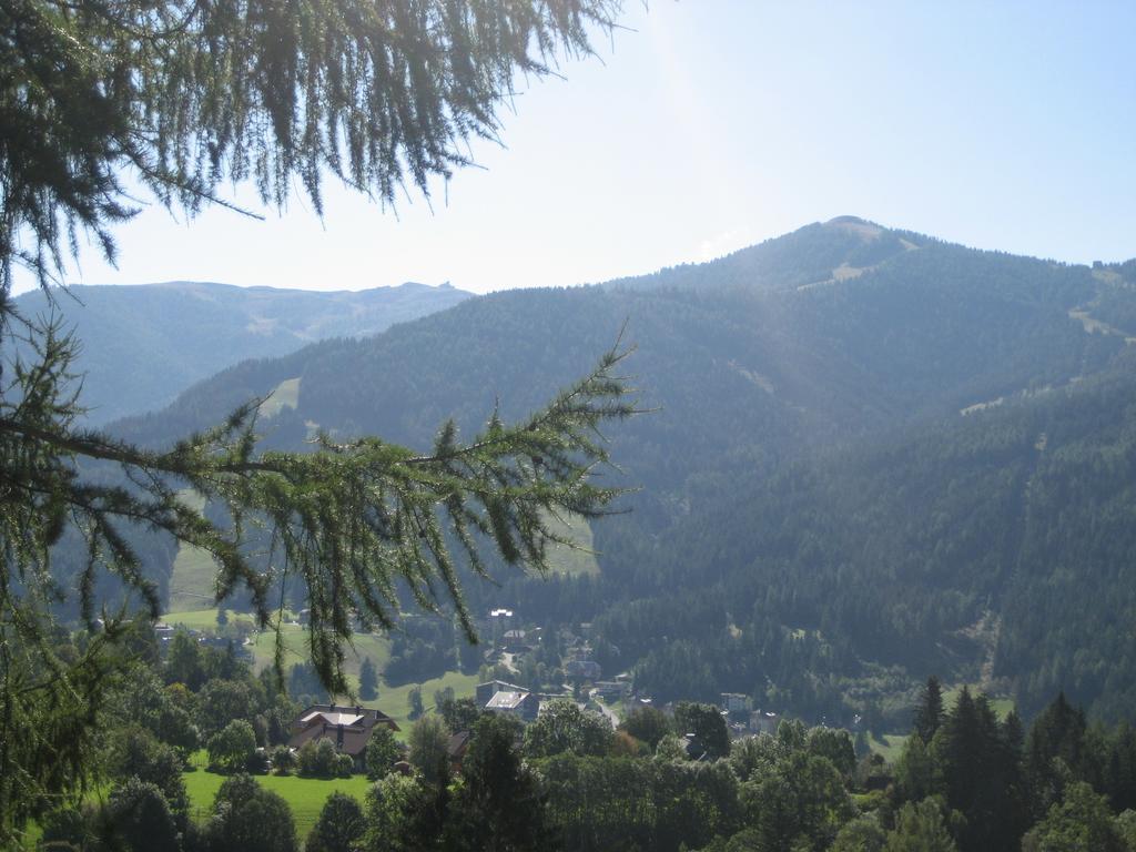 Ferienhaus Stiglitzweg Bad Kleinkirchheim Ruang foto